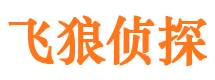 横峰市侦探调查公司